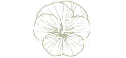 Эхинацея. Оптом и в розницу.